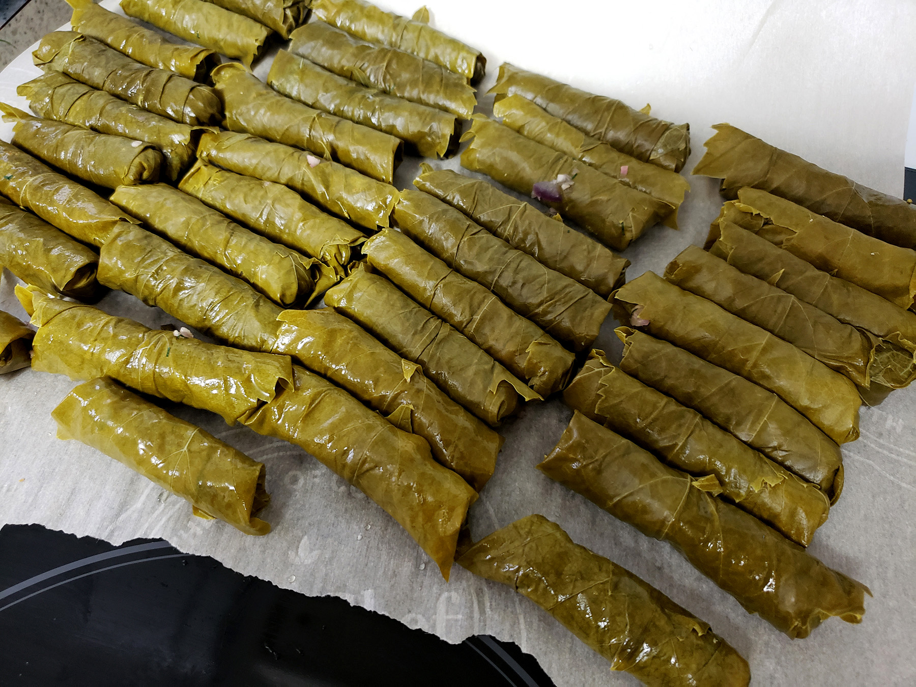 Rows of low carb paleo stuffed grape leaves on a piece of parchment paper.