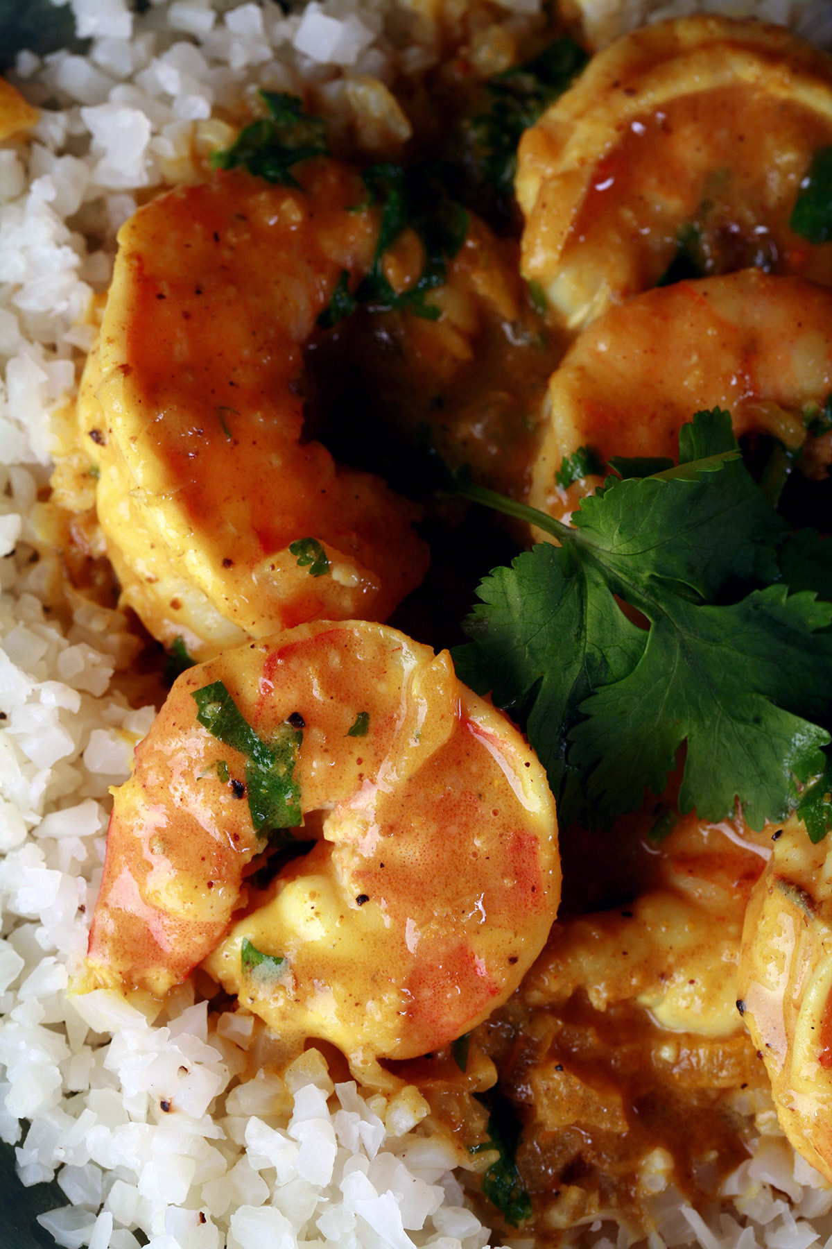 Low carb shrimp curry, served over a bowl of cauliflower rice and garnished with cilantro.