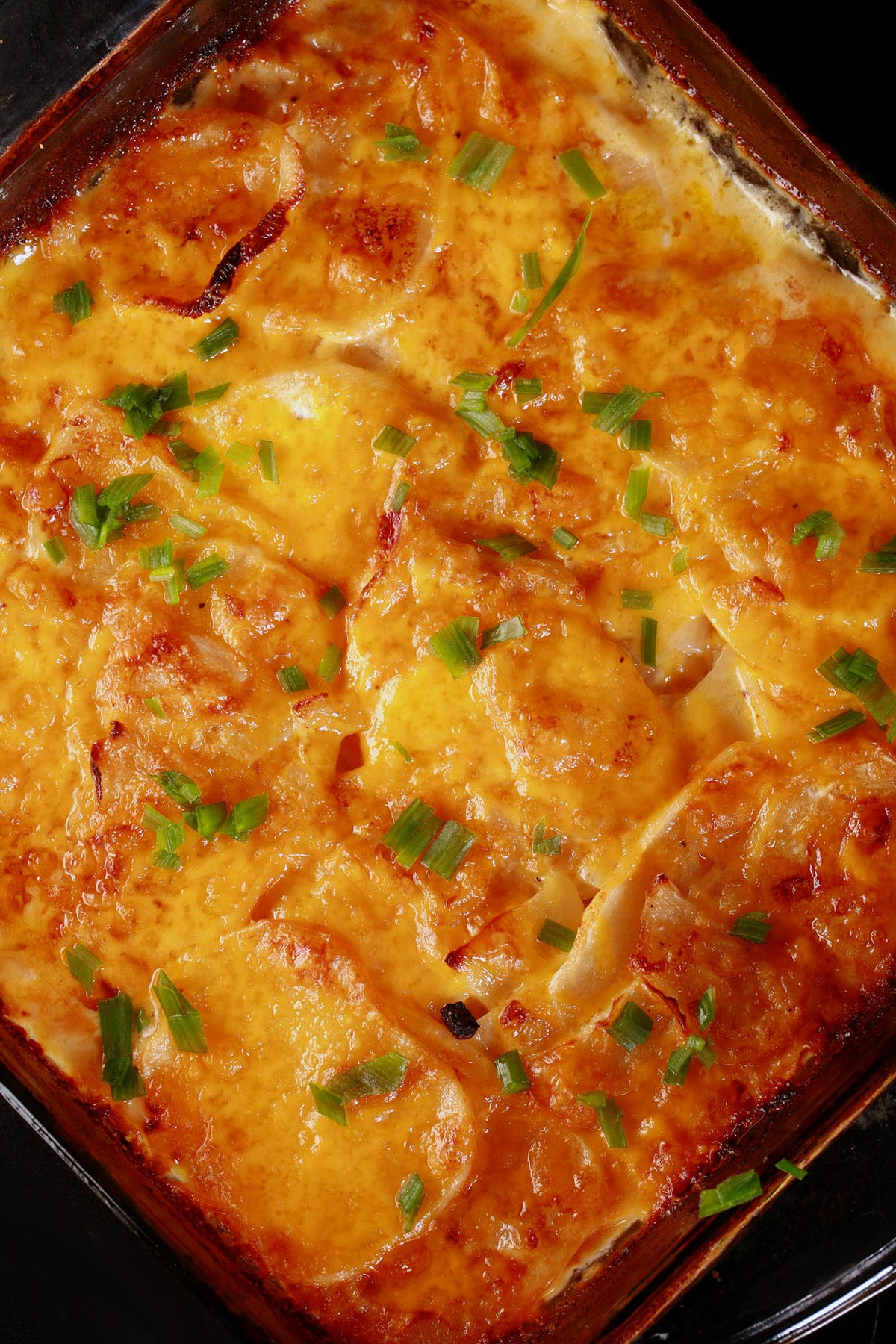 A pan of keto scalloped potatoes au gratin, with cheddar cheese on top.