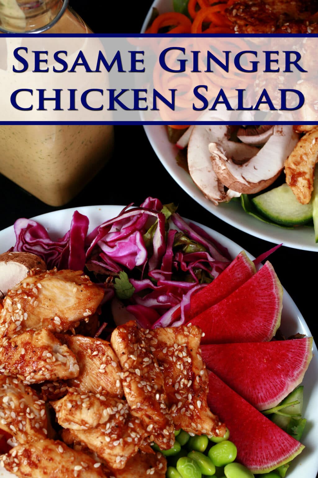 Sesame Ginger Chicken Salad Low Carb Hoser