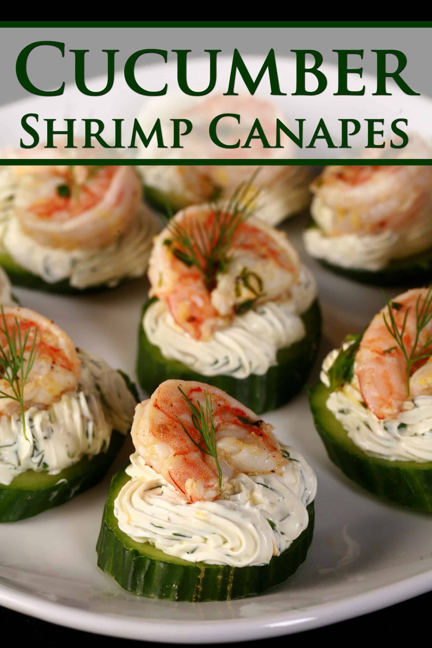 A plate of cucumber canapes, topped with herb cream cheese, shrimp, and dill.