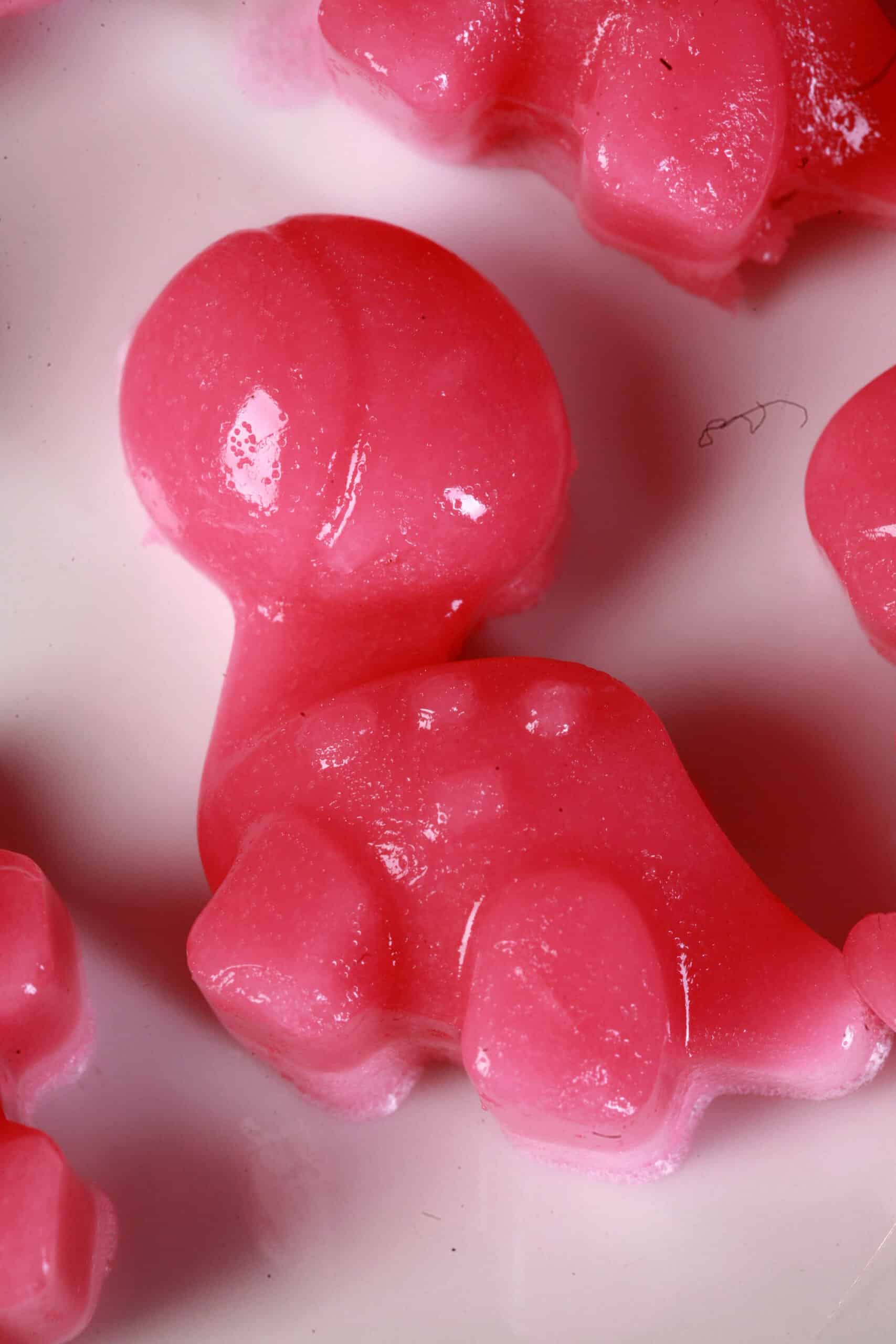 Pink dinosaur shaped homemade protein keto gummy candies on a plate.