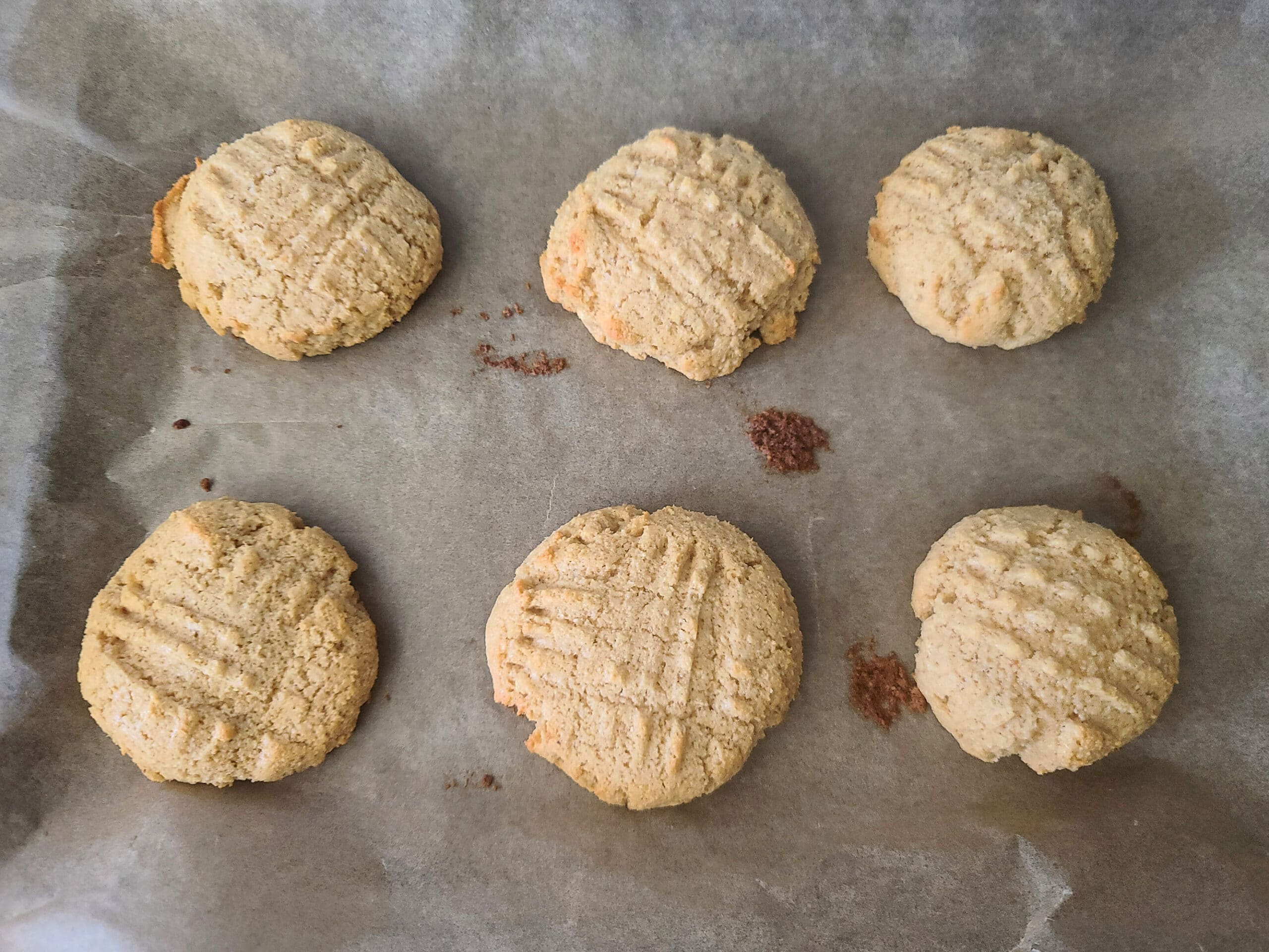 A pan of freshly baked keto peanut butter cookies.