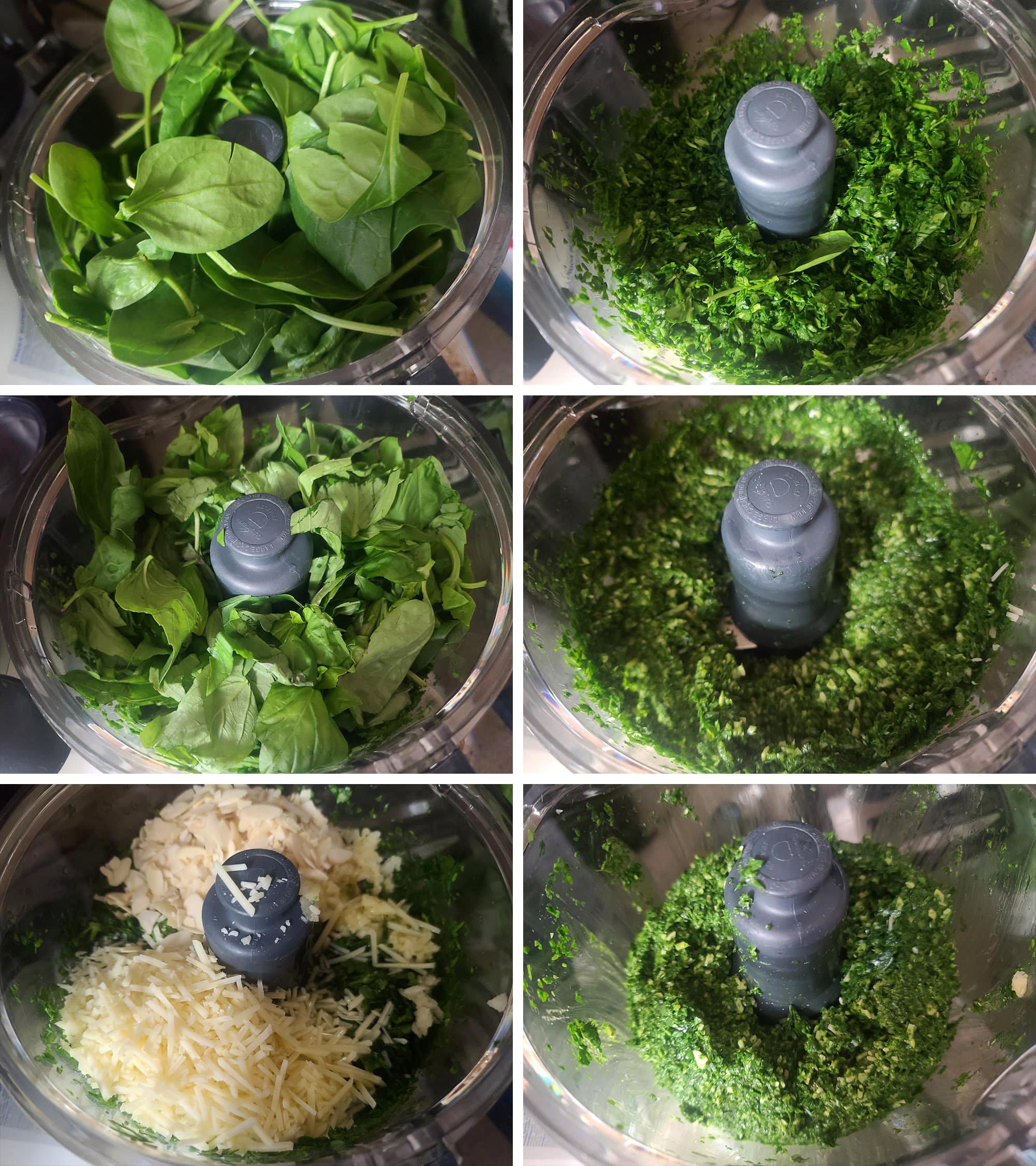 6 part image showing the spinach and basil pesto being made in a food processor.